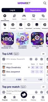 Онлайн ставкалар спорттық бәс табысының әлемі